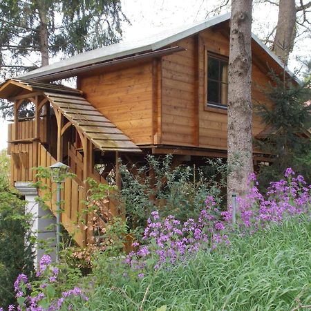 Baumhaus Wolfshoehle Fischach Buitenkant foto